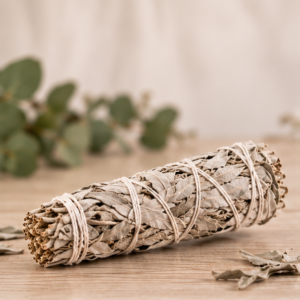 Sauge Blanche fagot de 10 cm – Purification et Protection Énergétique